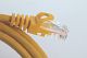 Patchcord RJ45 Kat.5e 2m U/UTP PVC miedziany żółty